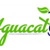 aguacate online