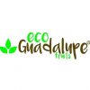 eco guadalupe fruits