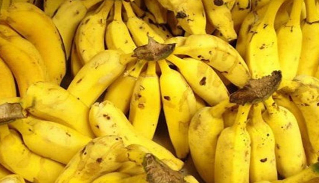 Del 24 al 26 de noviembre se realizarÁ virtualmente el congreso tÉcnico bananero de colombia