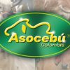 asocebu