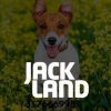 jackland criadero canino