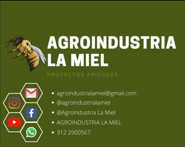 agroindustrialamiel