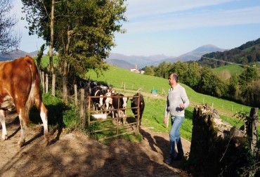 Pueden las antenas 4G afectar la salud y productividad de sus bovinos?