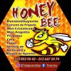 apíarios honey bee