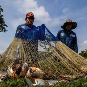 El proyecto REDUSE-II recupera 18 toneladas de redes de pesca para su  reciclaje